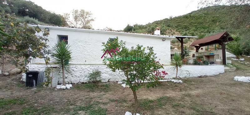 Foto 49125b96-156d-4ed0-bcab-0275a92a37d7. Wohngrundstück in Benaocaz