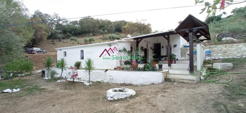 Foto 4a001130-4b60-4ffa-8803-ed2ae925cff2. Wohngrundstück in Benaocaz