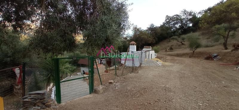 Foto 4ba93fcf-616b-4bfa-9260-ee993c8bc99c. Wohngrundstück in Benaocaz