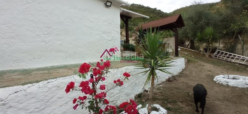 Foto 5025524a-2eb4-48ad-aad4-1161fe925211. Wohngrundstück in Benaocaz