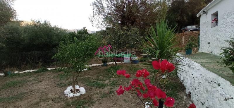 Foto 585332cf-a012-4606-ab5f-fb9bb2004520. Wohngrundstück in Benaocaz