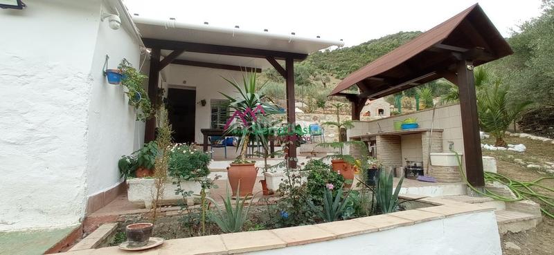 Foto 6f174724-7e07-432c-8256-51db1737b31d. Wohngrundstück in Benaocaz