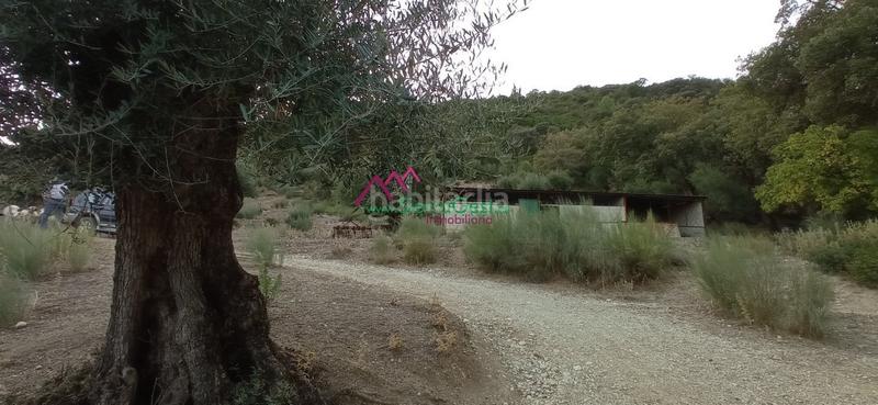 Foto 7d5171bd-1db7-47c8-a274-dd9b85feabb3. Wohngrundstück in Benaocaz