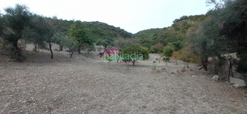 Foto ac1a4323-0d9f-4878-8b32-2547621ba878. Wohngrundstück in Benaocaz