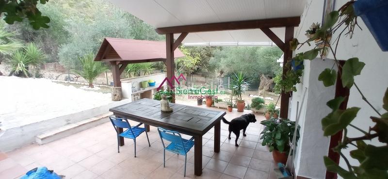 Foto d993a44e-61eb-445a-84d1-6ca0f8621869. Wohngrundstück in Benaocaz