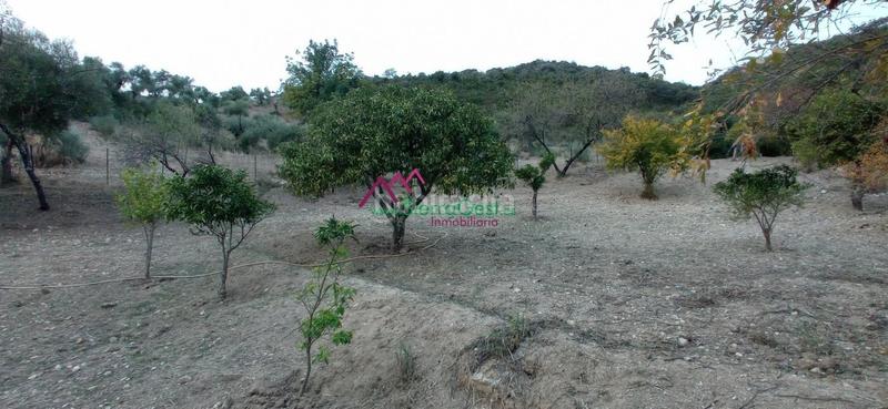 Foto f82dcffa-9109-4552-ad05-a5441981a25b. Wohngrundstück in Benaocaz