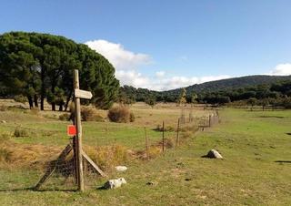 Terreny residencial a Grazalema. Venta parcela con casa y pozo