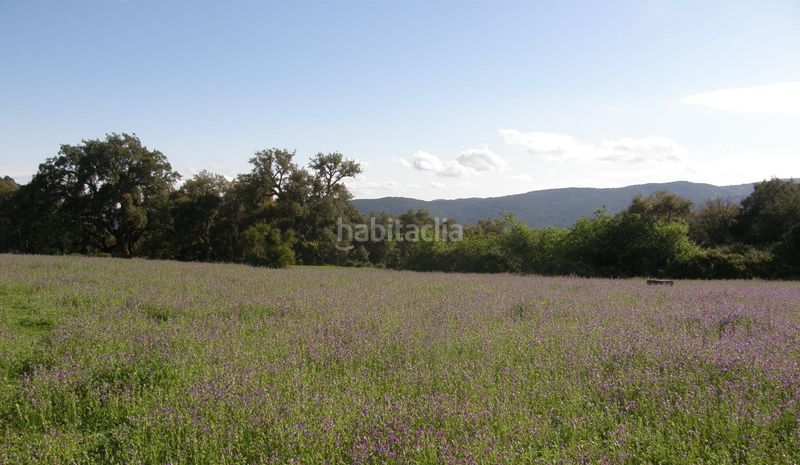 Foto 0f6e07d2-4458-45d4-bb05-45429e70b213. Terreny residencial a Cortes de la Frontera