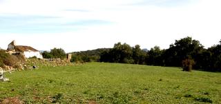 Terreny residencial a Cortes de la Frontera. Parcela
