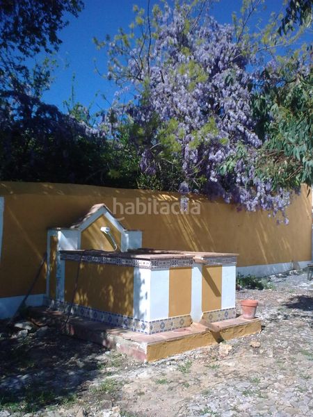 Foto 913d238e-79e8-458b-8e46-93c4b3b4f34a. Terreny residencial a Cortes de la Frontera