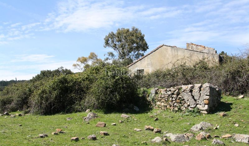 Foto b521ecb9-cb13-4e5a-be97-08cf5e7835ad. Terreny residencial a Cortes de la Frontera