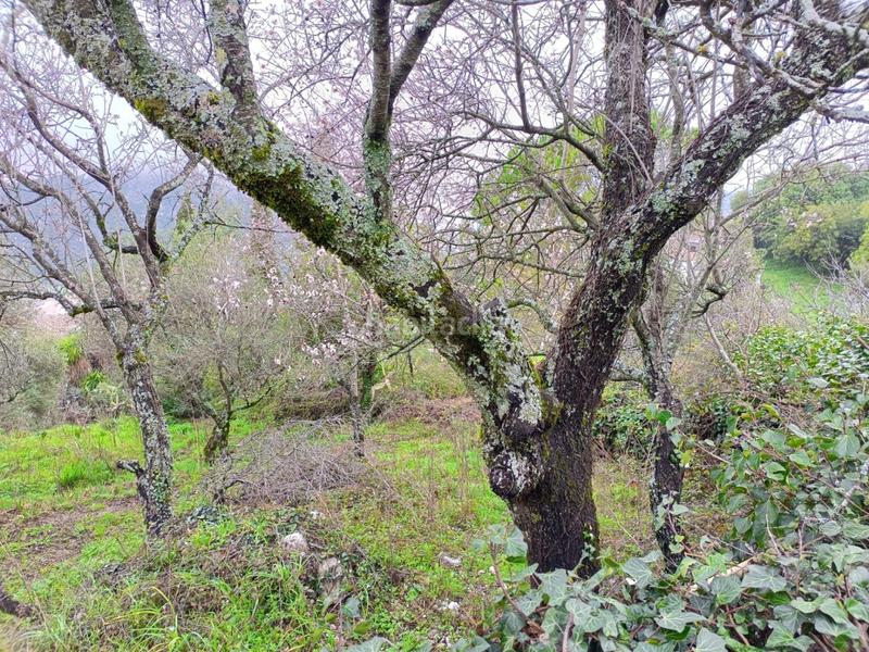 Foto 59e6859a-3d06-40c9-ad2b-9a0f837d8627. Finca rústica a Benaocaz