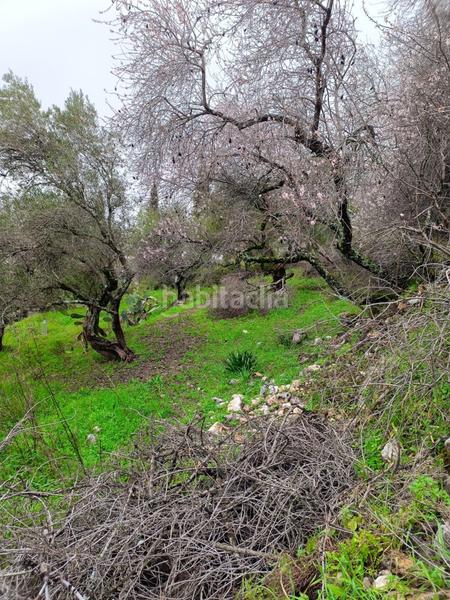Foto 9c621273-5534-4188-81d2-d6153e6876a0. Finca rústica a Benaocaz