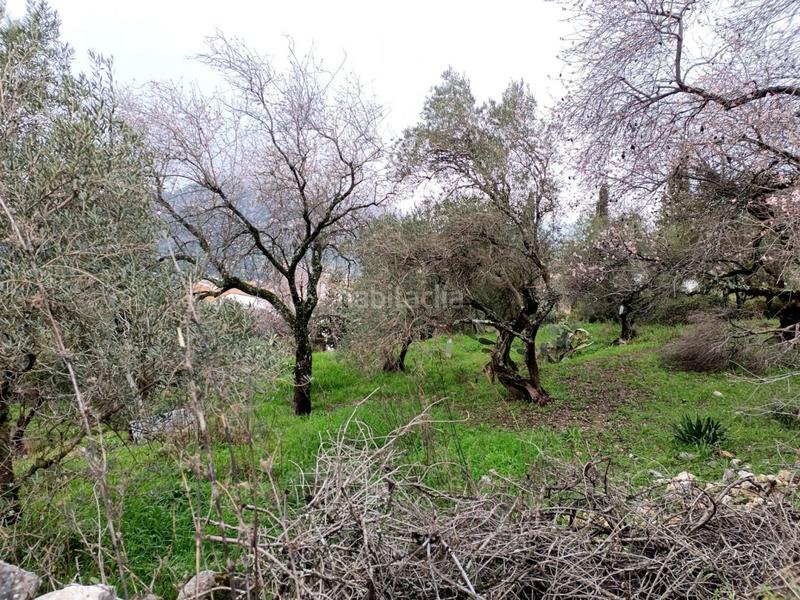 Foto b3077f8f-958c-4377-82b0-5bce5e9b65a7. Finca rústica a Benaocaz