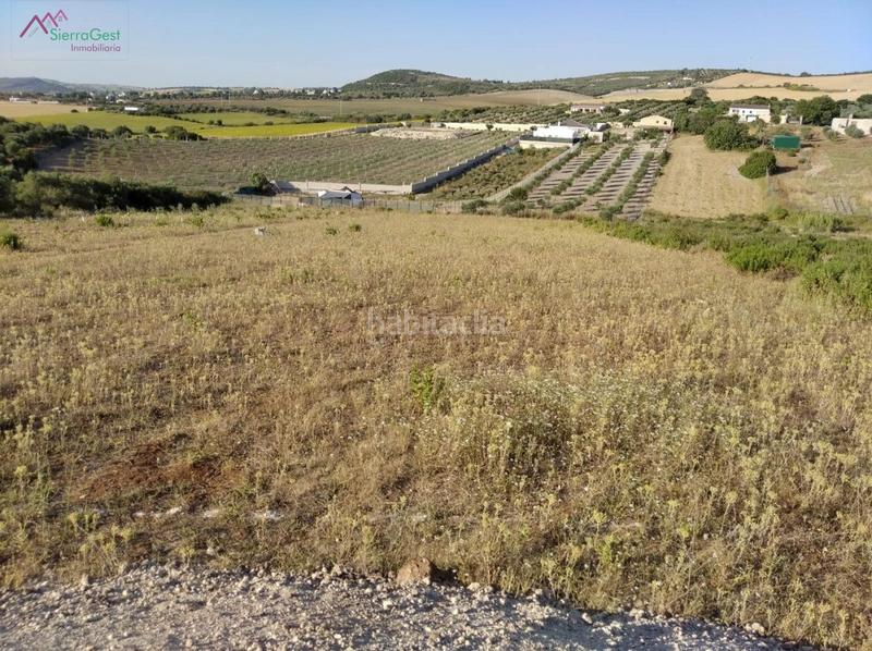 Foto 0a1309b9-fbbe-43ac-b2bb-6a1e09eb910d. Terreny residencial a Arcos de la Frontera
