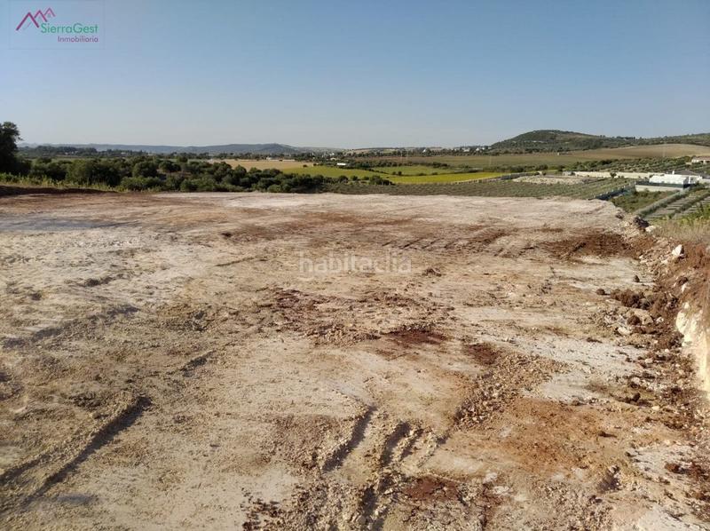Foto 469e657c-e4eb-4cfa-9304-cc5030269f00. Terreny residencial a Arcos de la Frontera