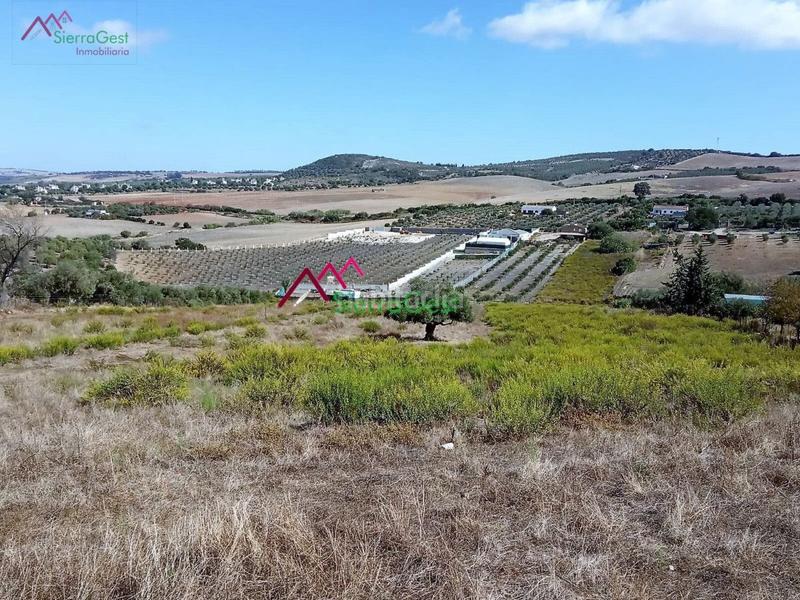 Foto 70325578-3c41-4367-ac8b-4d3ca6cc3ae7. Terreny residencial a Arcos de la Frontera