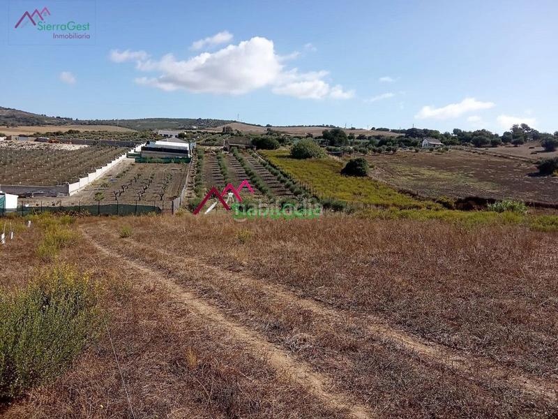 Foto 8d36549b-0c9d-4ccc-871c-78015fb4f49c. Terreny residencial a Arcos de la Frontera