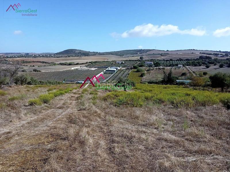 Foto a60a929e-c06b-48b9-aff4-abb112600928. Terreny residencial a Arcos de la Frontera