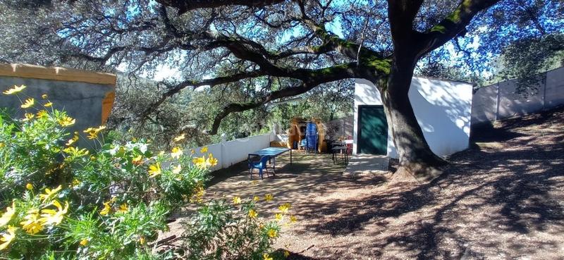 Foto 886c0591-004c-42d9-a56b-a418c4421f2d. Wohngrundstück in Benaocaz