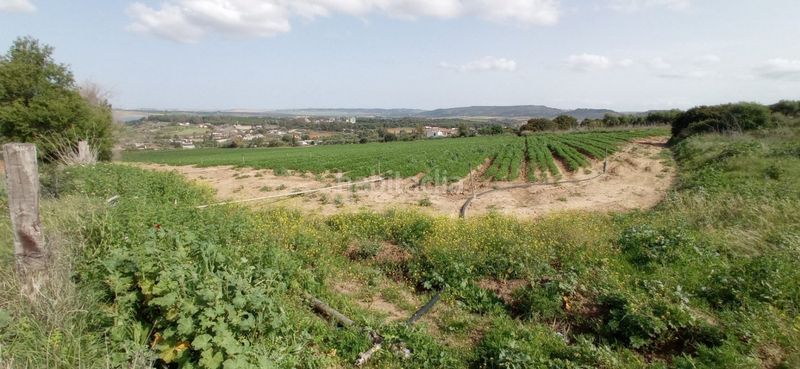 Foto 58c1fe6e-d729-4730-a9a9-726e5dfa9404. Residential plot in Arcos de la Frontera