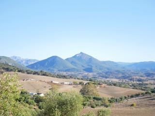Terreny residencial a Prado del Rey. Venta parcela prado del rey