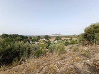Terreny residencial a Bosque (El). Venta parcela alrededores de el bosque