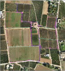 Rural plot in Sollana