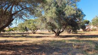 Finca rústica  Calle boreal. Parcela rustica de 7226m2 en san pedro alcantara.