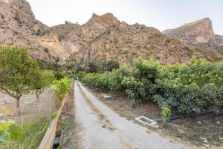 Finca rústica a Vélez de Benaudalla. Finca de aguacates en velez de benaudalla