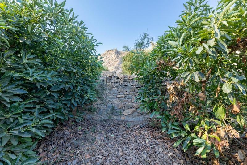 Foto 0e07a980-71fa-4901-8c38-6b3602d244c6. Finca rústica paraiso tropical en velez de benaudalla en Vélez de Benaudalla