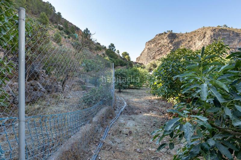 Foto a4eb5da3-2eb1-4cde-8282-aa7b2ec72469. Finca rústica paraiso tropical en velez de benaudalla en Vélez de Benaudalla