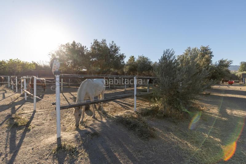 Foto 6e5918af-d797-4e7f-a570-00b71a730c0e. Masía hacienda rustica en la zubia en Cumbres Verdes Zubia (La)
