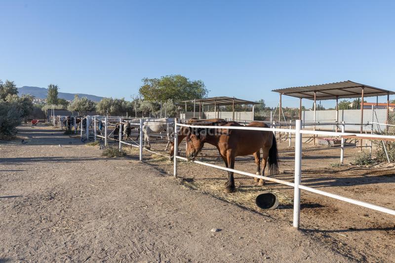 Foto c728f665-ac5f-4070-a07b-e8f667cd8a89. Masía hacienda rustica en la zubia en Cumbres Verdes Zubia (La)
