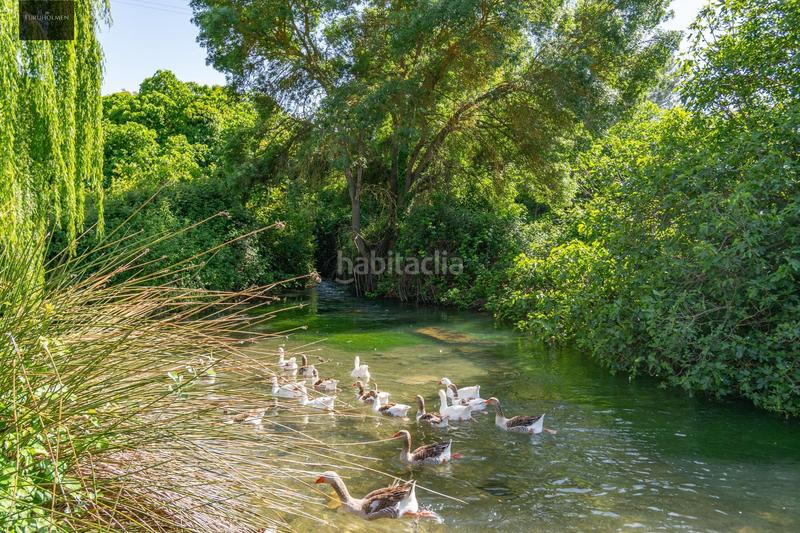 Foto 4cc16472-ffc8-4612-9686-70128fcfb95d. Haus in calle nacimiento (rf) 14 in Loja