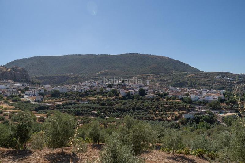 Foto 0c26092e-8eda-4067-bb7f-a8fb7c1514b6. Masía en polígono 7 paraje 143 huerta vieja 408 venta de cortijo en cogollos vega en Cogollos de la Vega