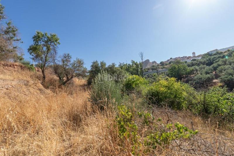 Foto 50ef3f2b-af7d-4586-8a75-fc80db67f44e. Masía en polígono 7 paraje 143 huerta vieja 408 venta de cortijo en cogollos vega en Cogollos de la Vega