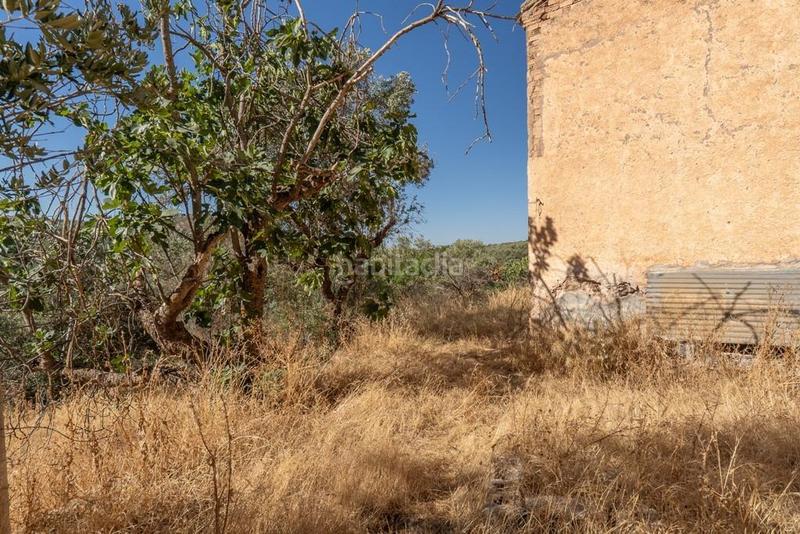 Foto 8178f11d-c5a9-4bde-ba73-cf968124c685. Masía en polígono 7 paraje 143 huerta vieja 408 venta de cortijo en cogollos vega en Cogollos de la Vega