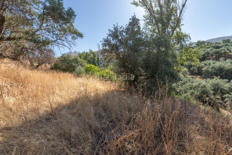 Foto 8ac5be37-4b70-42ab-a008-9ef3ca62a305. Masía en polígono 7 paraje 143 huerta vieja 408 venta de cortijo en cogollos vega en Cogollos de la Vega