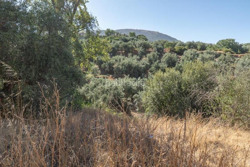 Foto 9a36f8e5-c287-477e-84f4-6a294fa3400f. Masía en polígono 7 paraje 143 huerta vieja 408 venta de cortijo en cogollos vega en Cogollos de la Vega