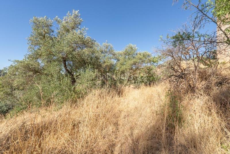 Foto ab81adde-48db-4509-a29f-a31fb00180bb. Masía en polígono 7 paraje 143 huerta vieja 408 venta de cortijo en cogollos vega en Cogollos de la Vega