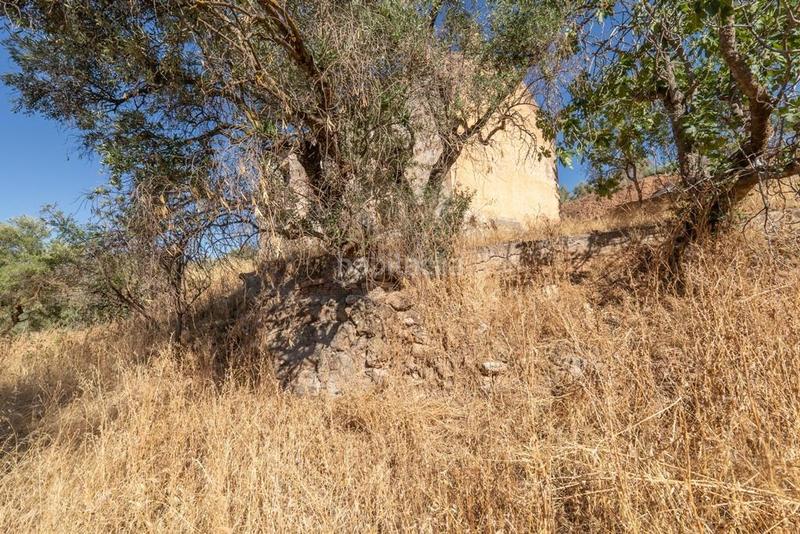 Foto f16407b2-d771-4037-a315-6c9ce3b6f312. Masía en polígono 7 paraje 143 huerta vieja 408 venta de cortijo en cogollos vega en Cogollos de la Vega