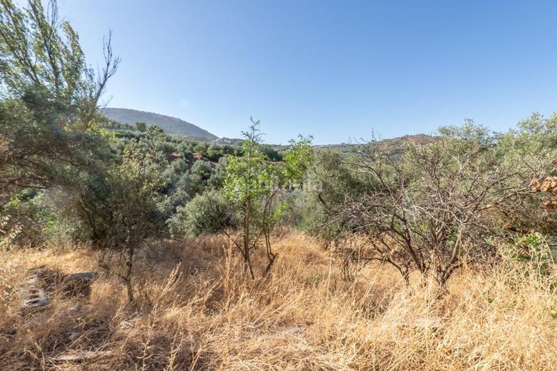 Foto fe8631b4-f1f8-48a5-84de-3829232fb131. Masía en polígono 7 paraje 143 huerta vieja 408 venta de cortijo en cogollos vega en Cogollos de la Vega