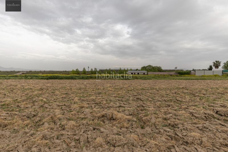 Foto ca5ff7c4-7610-4828-b5ca-b974529fa3e7. Finca rústica a Santa Fe