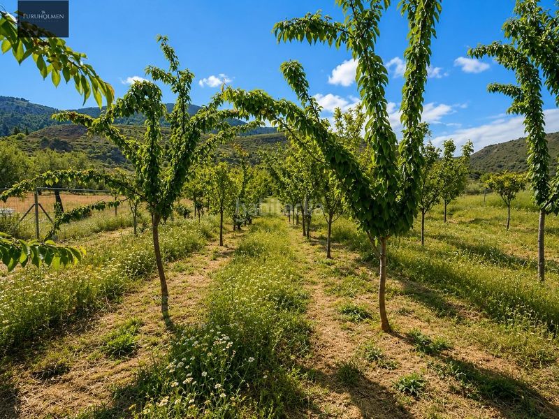Foto eff2019c-7827-472c-b92f-591a580e76d0. Masia amb aparcament a Monachil pueblo Monachil