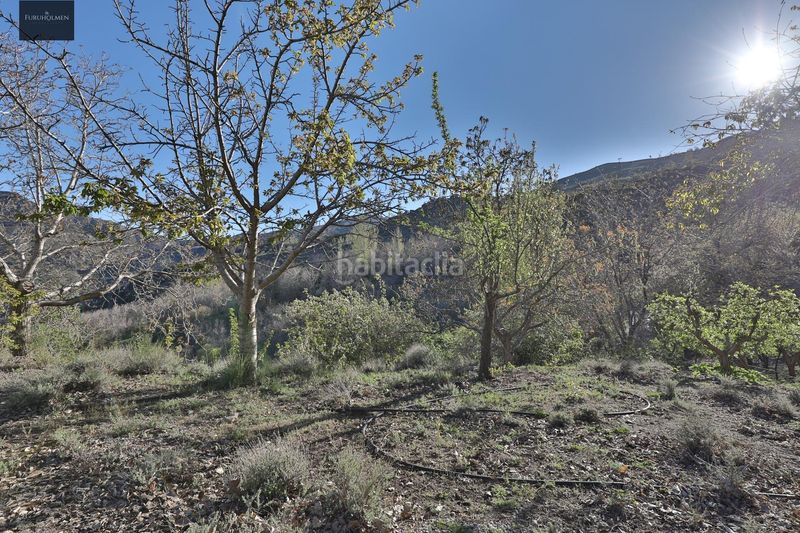 Foto 48a5d12d-4d3d-4f4e-aa53-c35d8c980c49. Masia amb aparcament a Dúrcal