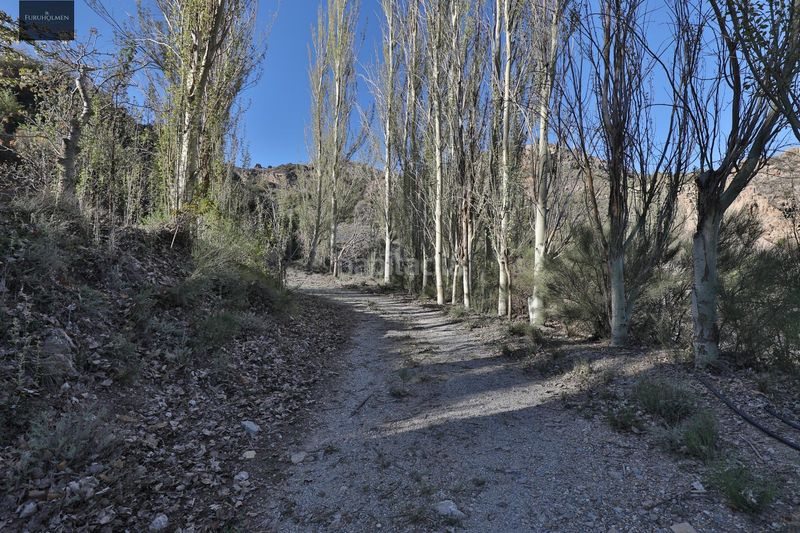 Foto ad97f787-82d8-43b4-b38a-842ec03ac89f. Masia amb aparcament a Dúrcal