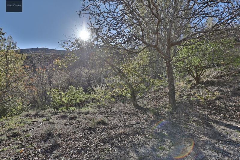 Foto f8fd1526-6596-48fe-a743-53e9ed42a87a. Masia amb aparcament a Dúrcal