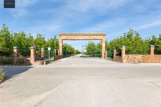 Bauernhof in Pinos Puente. Finca rústica en venta  vega norte de granada