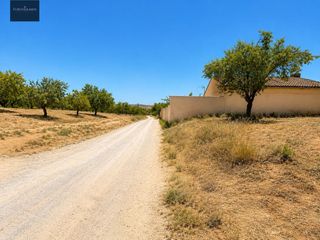 Finca rústica  Camino de la malahá a padul. Magnifica finca rústica de 1.300 metros en el arroyo de padul